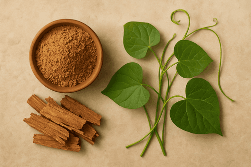 Deodar and Guduchi: Ayurvedic Solutions for Hormonal Acne
