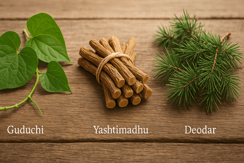 Top 3 Anti-Inflammatory Herbs That Calm Acne from the Inside